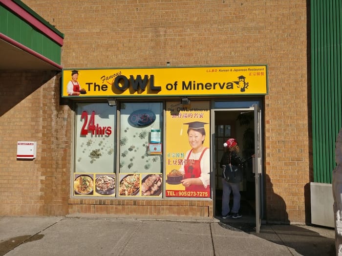 The Famous Owl of Minerva