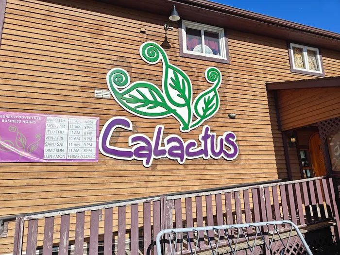 Calactus