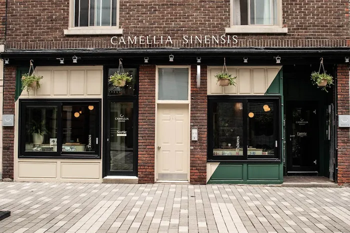 Camellia Sinensis | Boutique
