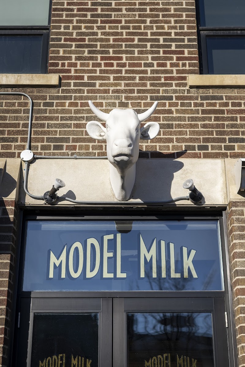 Model Milk