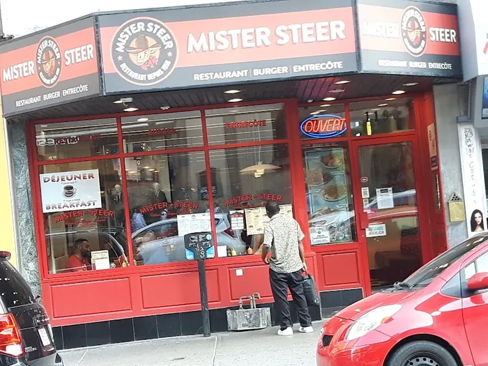 Mister Steer